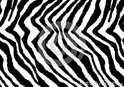 Zebra Print Stock Photo