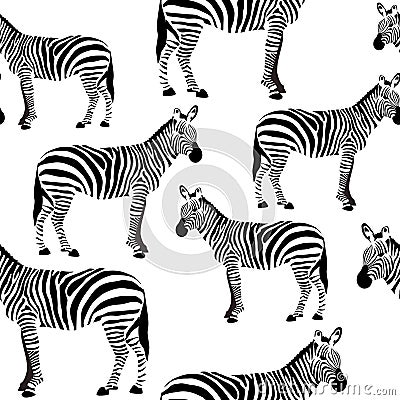 Zebra Seamless Surface Pattern, Black and White Zebras Repeat Pattern for Textile Design, Fabric Printing, Stationary, Packaging, Vector Illustration