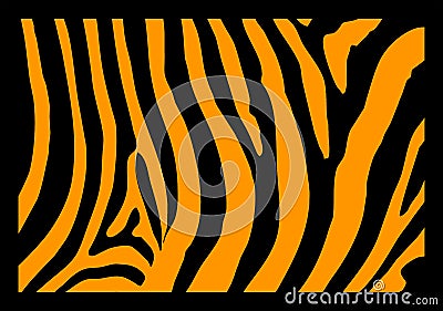 Zebra Skin Vector Illustration