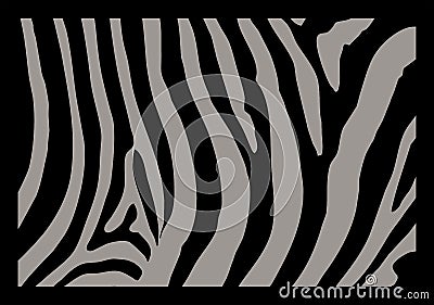 Zebra Skin Vector Illustration