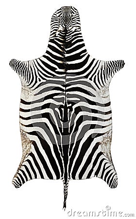 Zebra skin Stock Photo