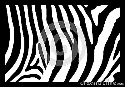 Zebra skin Vector Illustration