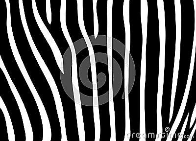 Zebra skin pattern Vector Illustration