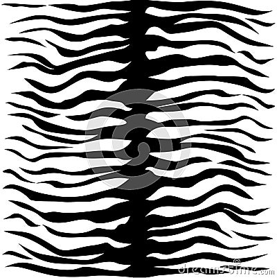 Zebra skin seamless pattern. Exotic zebra skin drawing, fashionable white background with black strips coil. Vector Illustration