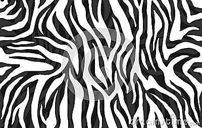 Zebra skin, stripes pattern. Animal print, black and white detailed and realistic texture. Vector Illustration