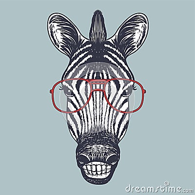 Zebra smile hand drawn wearing a red glasses Vector Illustration