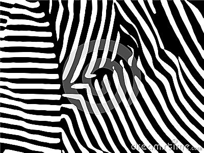 Zebra Stripes Pattern. abstract pattern, stripped background Vector Illustration