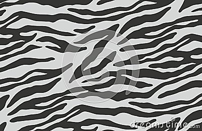 Zebra strips background pattern - illustration design Cartoon Illustration