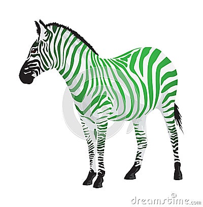 Zebra with strips of green color. Stock Photo