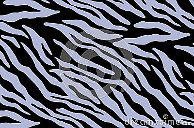 Zebra or tiger stripes colour pattern background. Illustration design Stock Photo