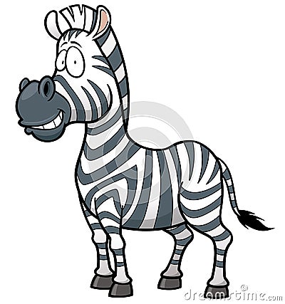 Zebra Vector Illustration