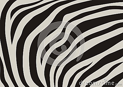 Zebra veins Vector Illustration