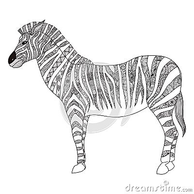 Zebra zentangle stylized for T- Shirt design, sign, poster, coloring book for adult and design element Vector Illustration