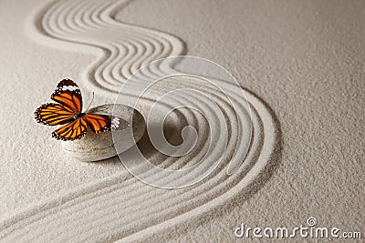 Zen butterfly Stock Photo