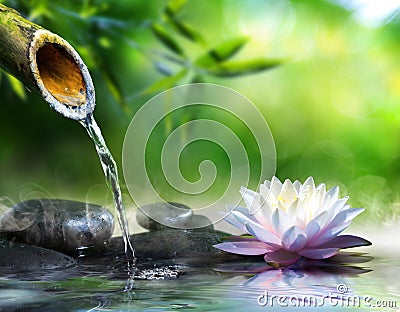 Zen garden with massage stones Stock Photo