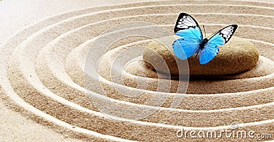 Zen garden meditation stone background and butterfly with stones and lines in sand for relaxation balance and harmony spirituality Stock Photo