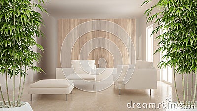 Zen interior with potted bamboo plant, natural interior design concept, modern living room with wooden and white details, minimali Stock Photo