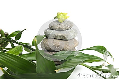 Zen, Relaxation, Harmony and Balance concept, isolated on white background Stock Photo