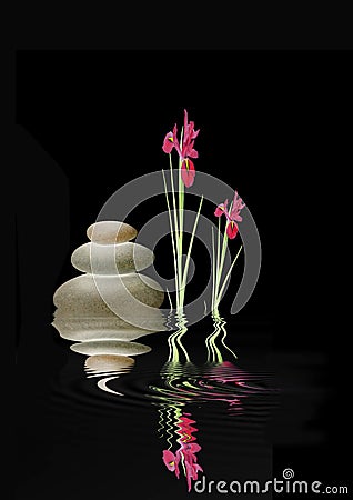 Zen Spa Stones and Red Iris Flowers Stock Photo