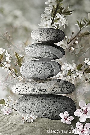Zen stones and flower blossom Stock Photo