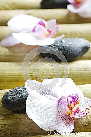 Zen stones with orchid abstract closeup still life Stock Photo