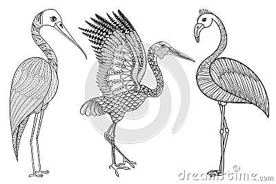 Zentangle Hand drawn Stork, Flamingo, Brolga for adult antistress coloring pages, post card, t-shirt print, fabric. Bird set Vector Illustration