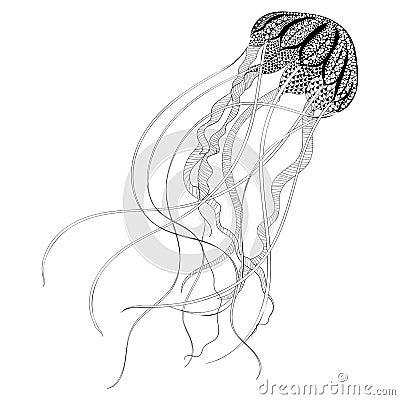 Zentangle stylized black Jellyfish. Hand Drawn Cartoon Illustration