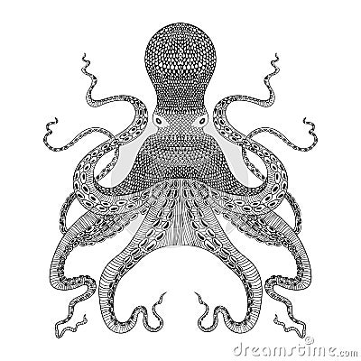 Zentangle stylized black Octopus. Hand Drawn illustration Cartoon Illustration