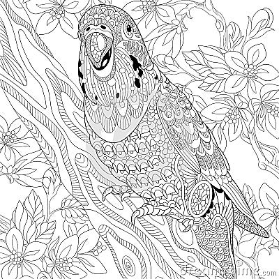 Zentangle stylized budgie parrot Vector Illustration