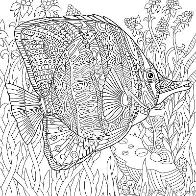 Zentangle stylized butterfly fish Vector Illustration