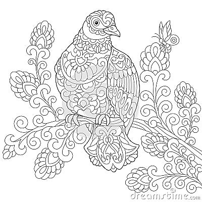 Zentangle stylized dove bird Vector Illustration