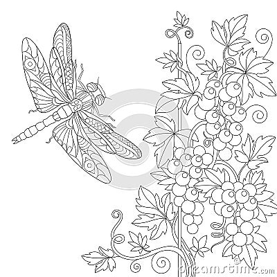 Zentangle stylized dragonfly and grape vine Vector Illustration