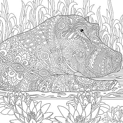 Zentangle stylized hippopotamus (hippo) Vector Illustration