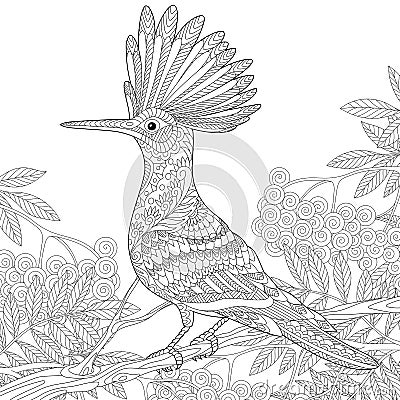 Zentangle stylized hoopoe Vector Illustration