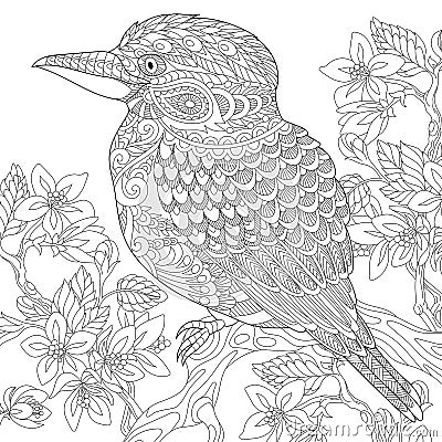 Zentangle stylized kookaburra bird Vector Illustration