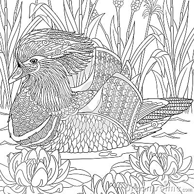 Zentangle stylized mandarin duck Vector Illustration