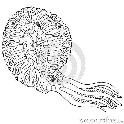 Zentangle stylized nautilus Vector Illustration