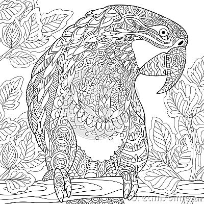 Zentangle stylized parrot - macaw Vector Illustration
