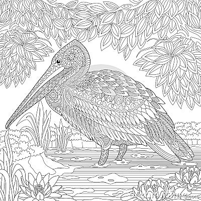 Zentangle stylized pelican bird Vector Illustration