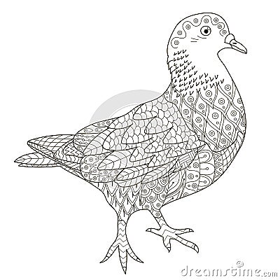 Zentangle stylized pigeon for coloring page Vector Illustration