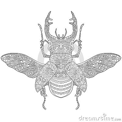 Zentangle stylized stag-beetle (Lucanus cervus) Vector Illustration