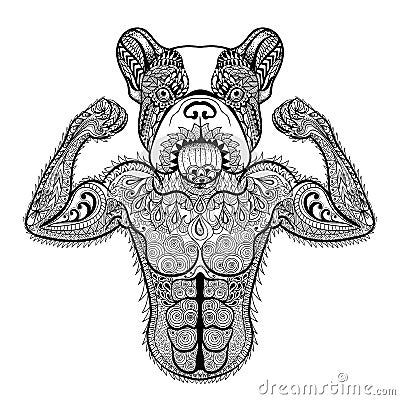 Zentangle stylized strong French Bulldog like bodybuilder. Hand Vector Illustration