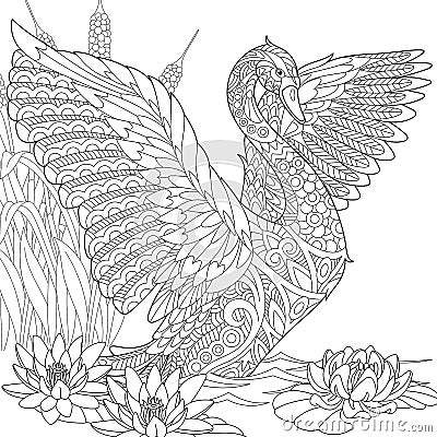 Zentangle stylized swan Vector Illustration