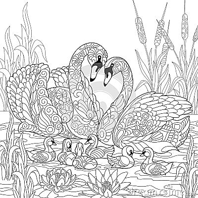 Zentangle stylized swan birds family Vector Illustration