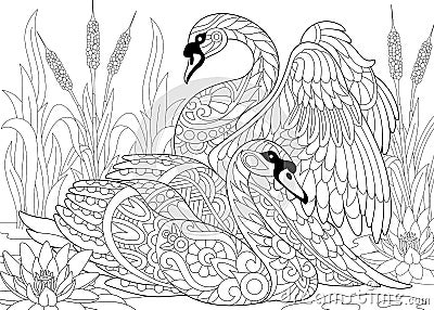 Zentangle stylized two swans Vector Illustration