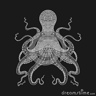 Zentangle stylized white Octopus. Hand Drawn lace illustr Cartoon Illustration
