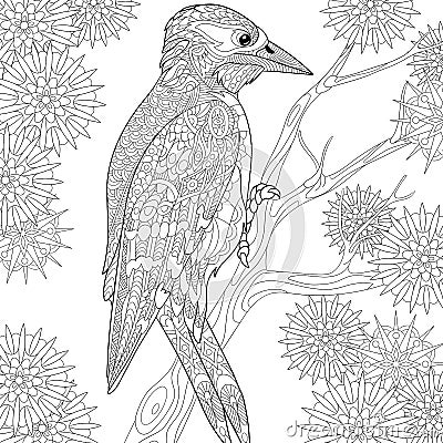 Zentangle stylized woodpecker Vector Illustration