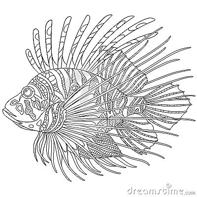 Zentangle stylized zebrafish (lionfish) Vector Illustration