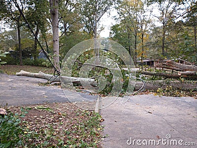 Zeta storm Aftermath in Georgia Stock Photo