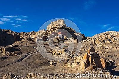 Zhada Soil Forest and Ruins of Guge Kingdom Stock Photo